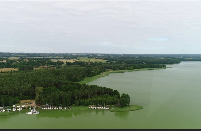 Prąd a czyste powietrze