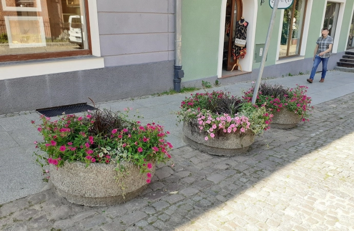 {W centrum Olsztyna pojawiły się nowe donice z kwiatami.}